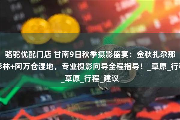 骆驼优配门店 甘南9日秋季摄影盛宴：金秋扎尕那+玛曲彩林+阿万仓湿地，专业摄影向导全程指导！_草原_行程_建议