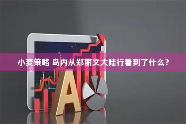小麦策略 岛内从郑丽文大陆行看到了什么？
